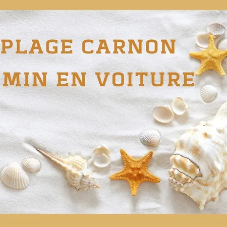 Moana Terrasse Proche Parc Des Expositions Montpellier *